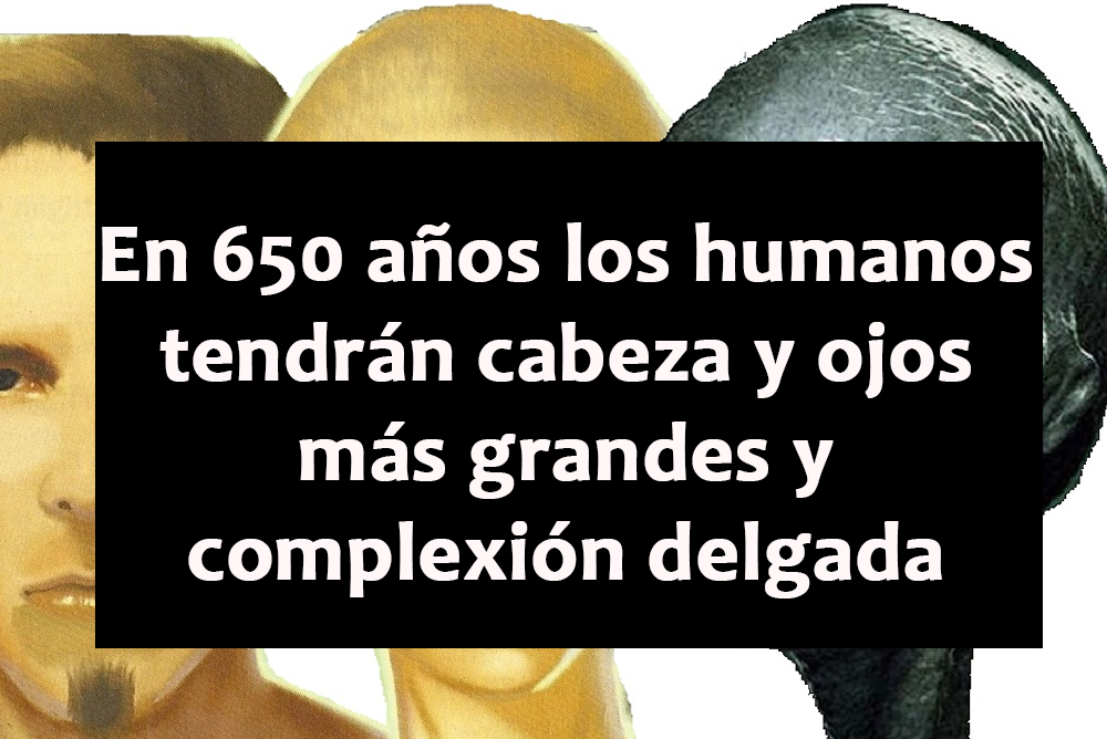 En 650 años los humanos evolucionarán físicamente