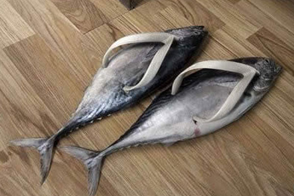 Unas sandalias de sardina ¡Originales!