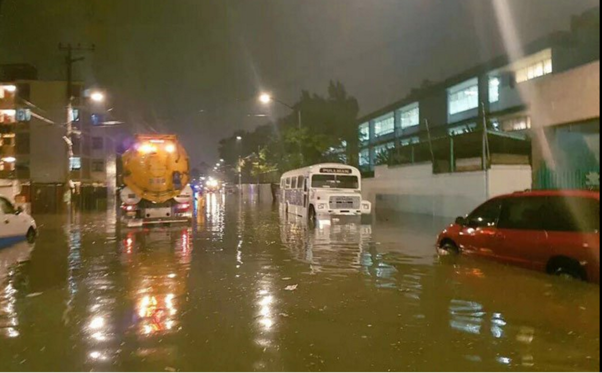 ¿Por qué la lluvia tiene olor?