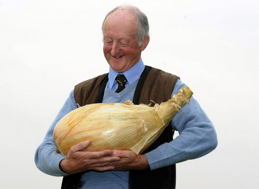 La cebolla más grande del mundo