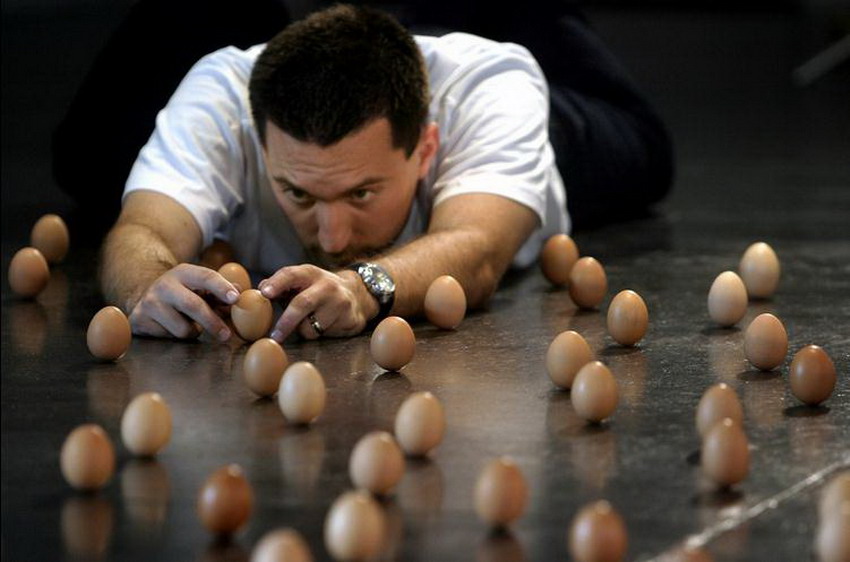 La mayor colocación de huevos parados