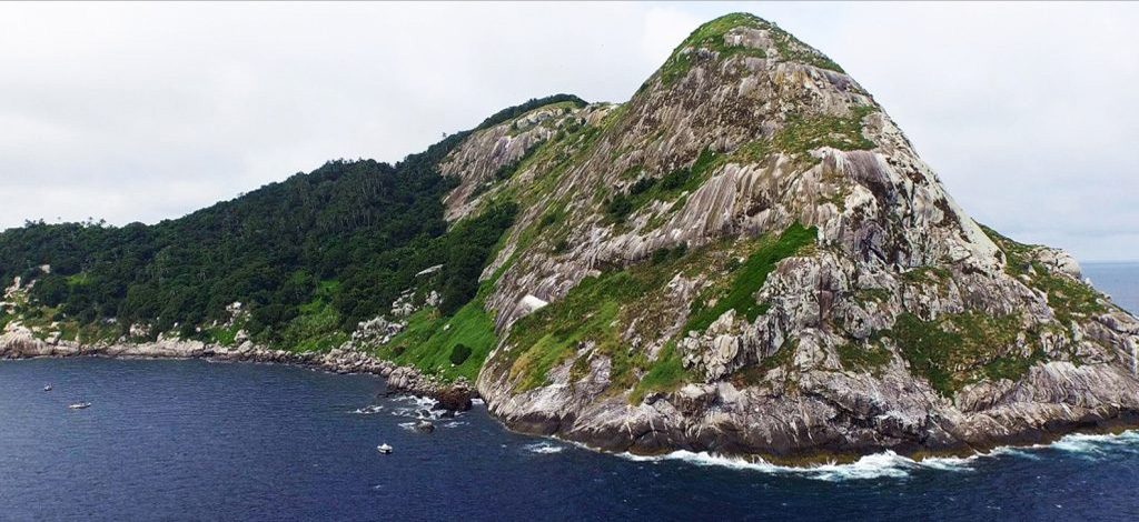 Snake Island - Brasil