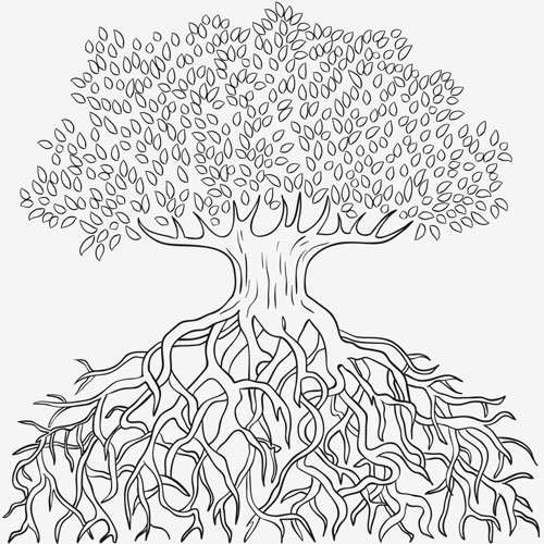Significado de dibujar árboles con raíces