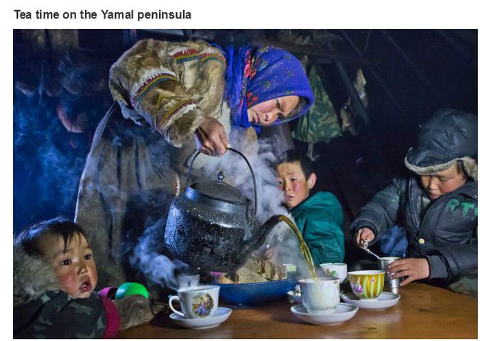 La hora del te en la península de Yamal