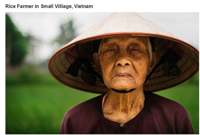 Un anciano cosechador de arroz en Vietnam