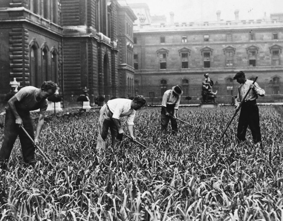 Cultivando en el louvre en París