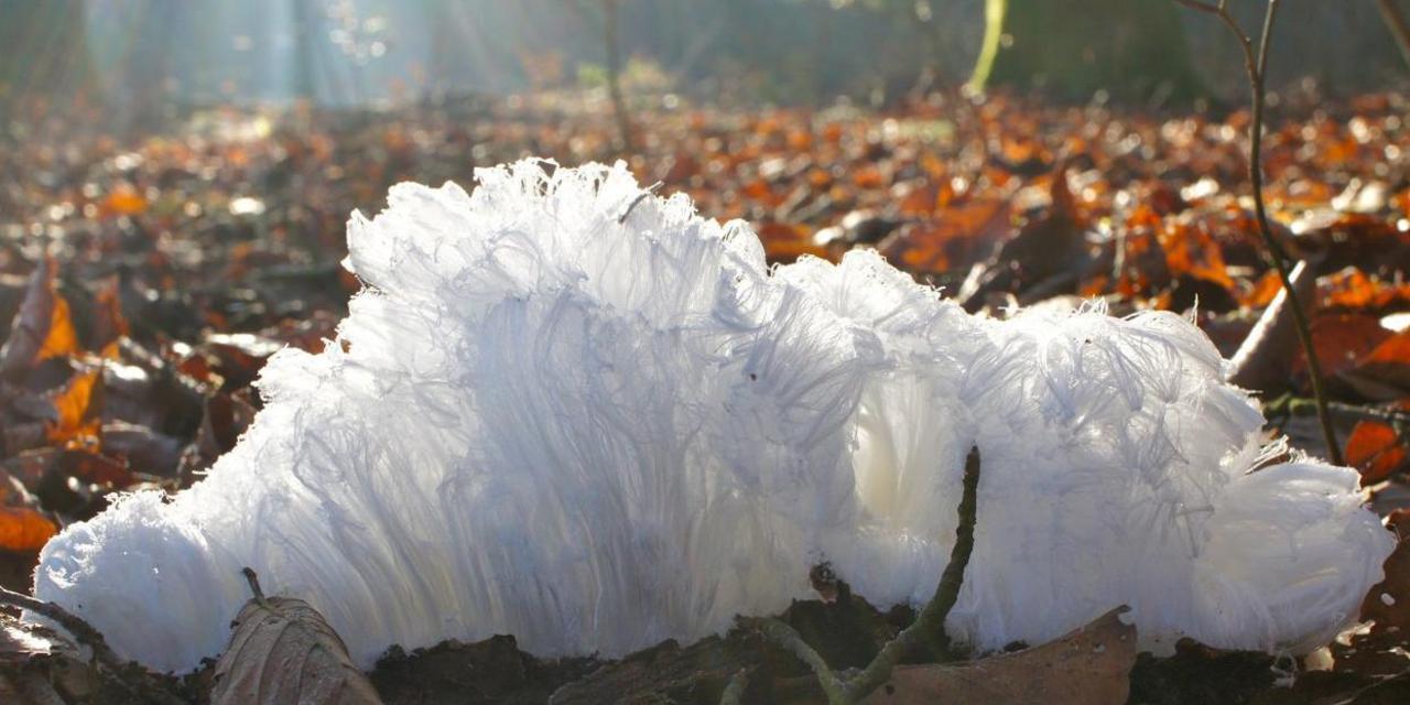 Pelo de hielo o cabello de hielo