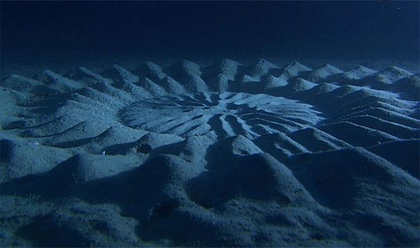 Círculos debajo del mar