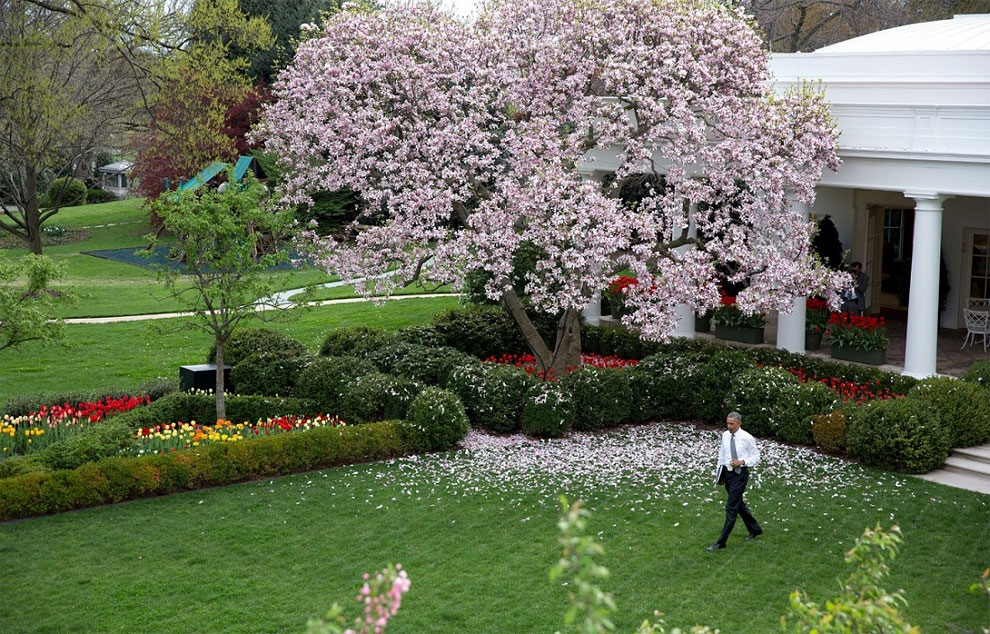 No tenía mucho tiempo libre, pero disfrutaba pasear por el parque de la Casa Blanca