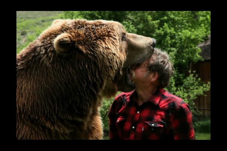 El famoso oso de las películas, Bart The Bear
