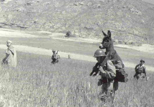 Datos que quizá no conocías de la Segunda Guerra Mundial