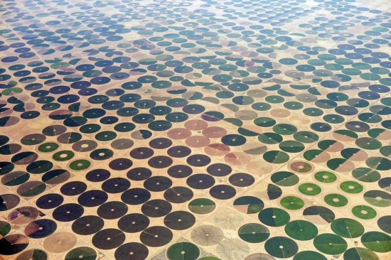 Campos de granjeros en Arabia Saudita