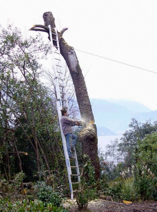 Todo iba bien hasta que la lógica no le funcionó