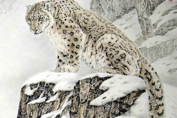 Leopardo de las nieves