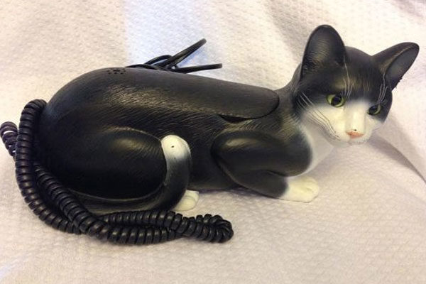 El experimento que convirtió a un gato en teléfono