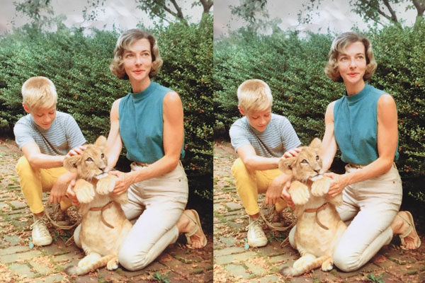 Una abuela veterinaria muy cool, 1959