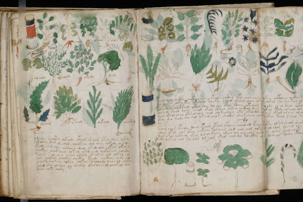 Manuscrito Voynich