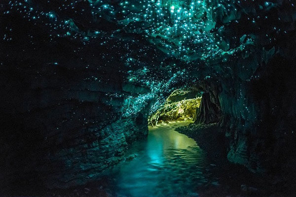 Las cuevas Glowworm de Nueva Zelanda