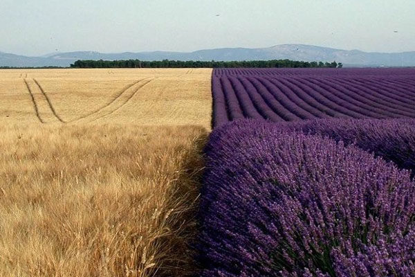 La naturaleza también nos sorprende...