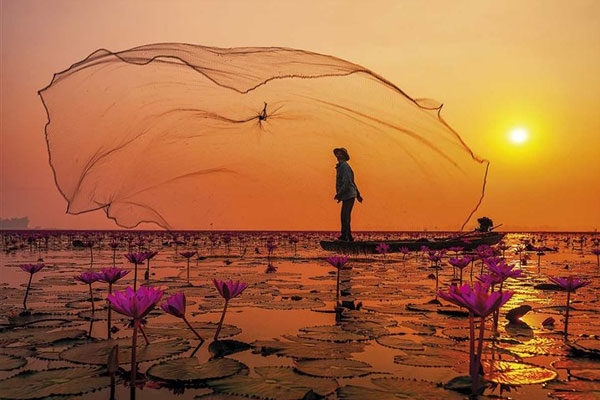 Tailandia, el lago de la flor de loto