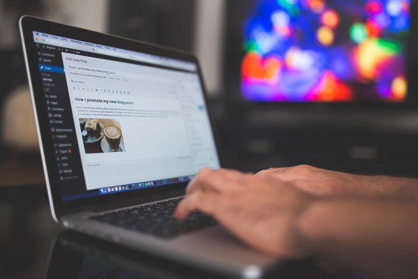 Video Blogger