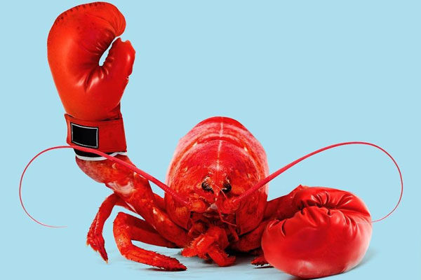 Rocky Lobster
