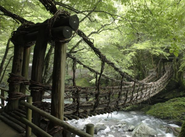 Puentes de lianas del valle de Iya, Japón