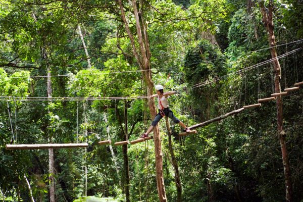 Puentes tambaleantes de la Selva de Brasil