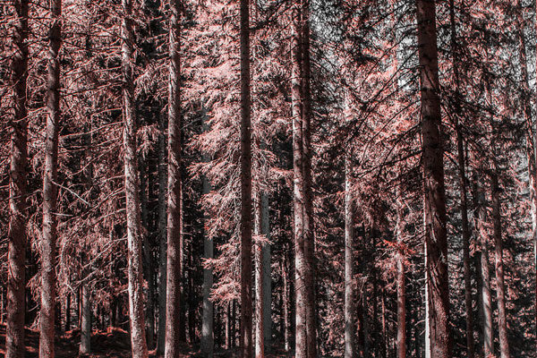 Filtro de tritanopia