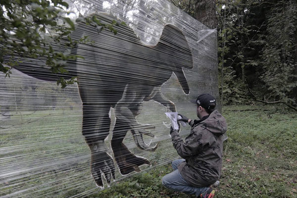 Vida en el bosque