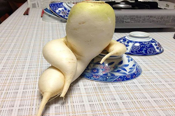 Un vegetal muy sexy
