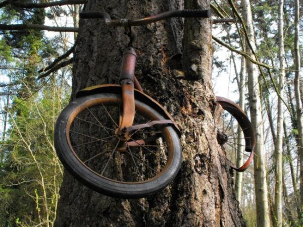 La bicicleta abandonada se volvió parte de algo más