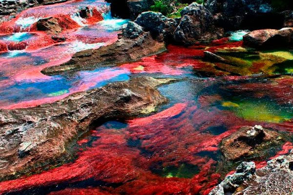 Caño Cristales, Colombia