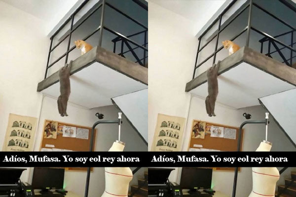 Adios