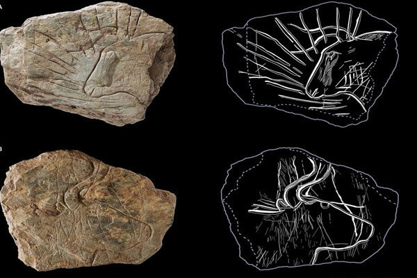 Grabados de 14.000 años de antigüedad
