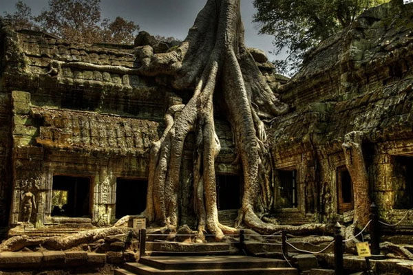 Ta Prohm