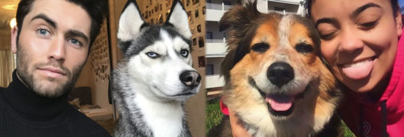 Fotos adorables de mascotas que imitan las expresiones faciales de sus dueños