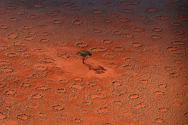 Círculos de hadas en Namibia