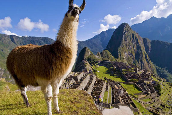 Machu Picchu