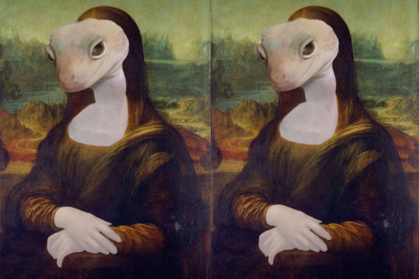 Gecko Lisa