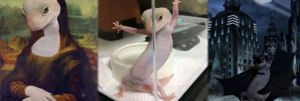 Adorable Gecko inspira una batalla de Photoshop en Internet
