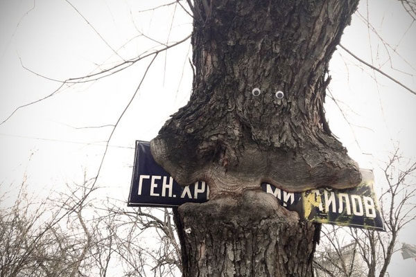 Árbol hambriento