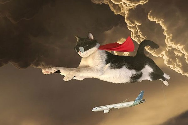 El gato volador