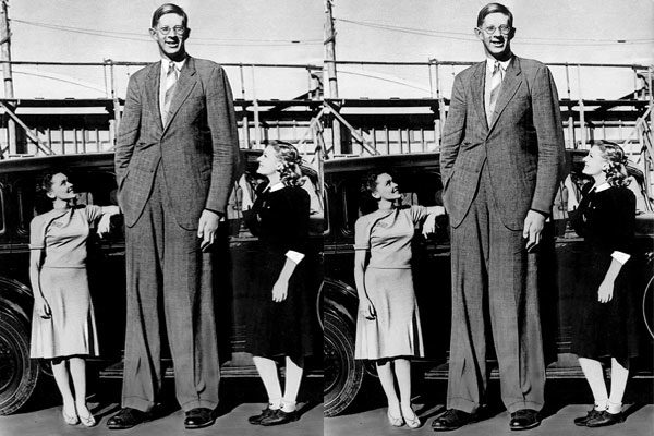 Robert Wadlow