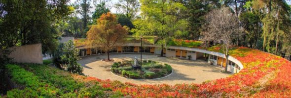 Jardín Botánico de Chapultepec, el oasis dentro de la Ciudad de México