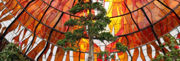 Jardín Botánico Cosmovitral, una mezcla de arte y naturaleza