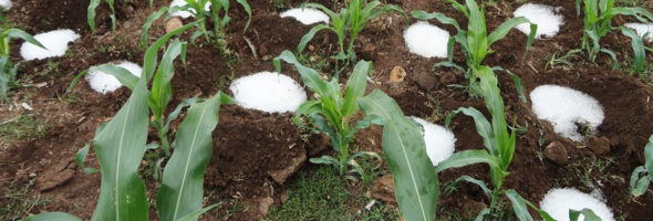 La lluvia sólida, el invento de un mexicano que podría cambiar el mundo
