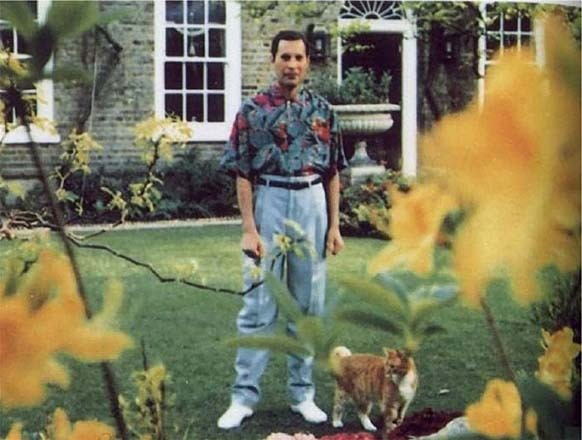 Foto de Freddie en sus últimos días