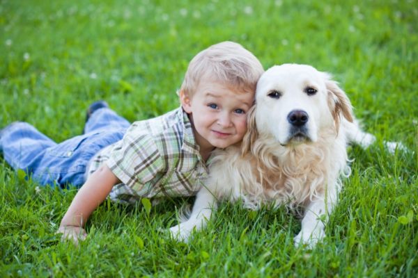 # 1- Tu perro es tan inteligente como un niño