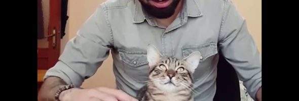 El turco que se hizo famoso por tocar el piano acompañado de gatos